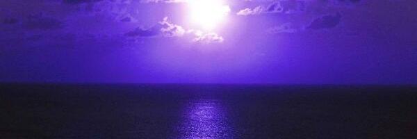StreetDogVN's profile banner image