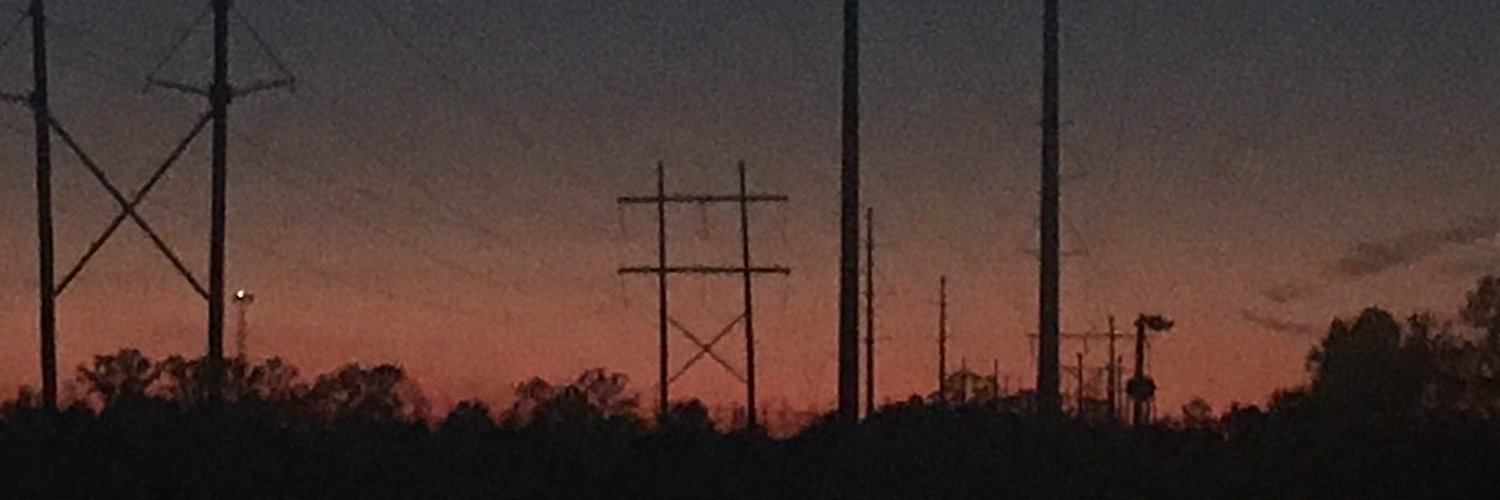 Trash_Panda06's profile banner image