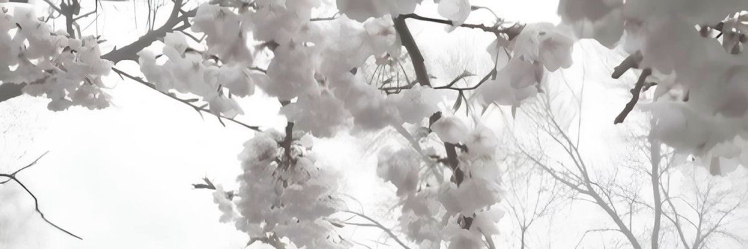 soso banner
