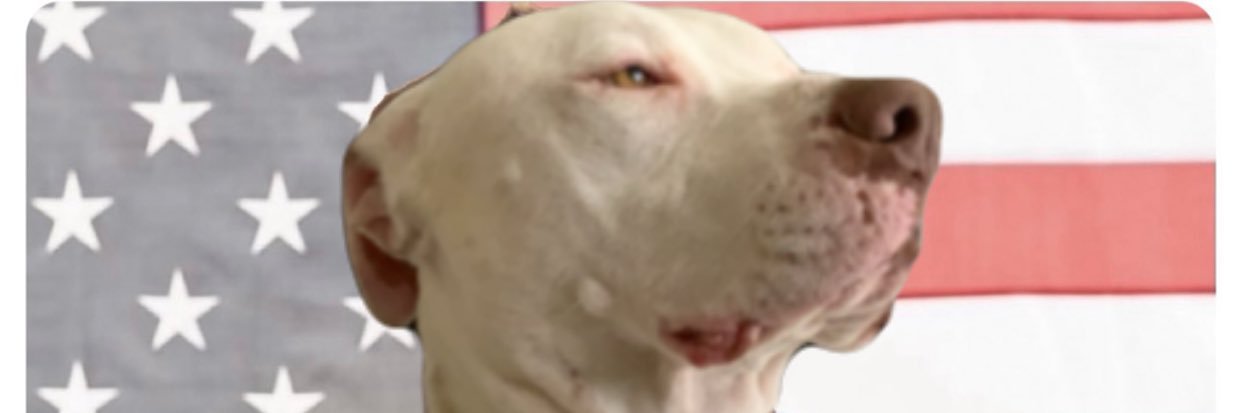 _DTONE_'s profile banner image