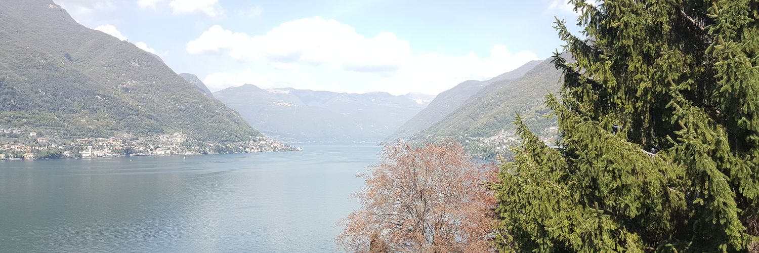 odeiocrente1's profile banner image