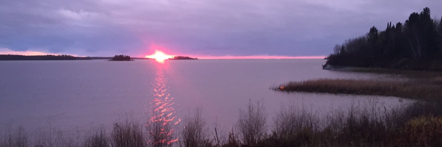 reginaldsimard's profile banner image