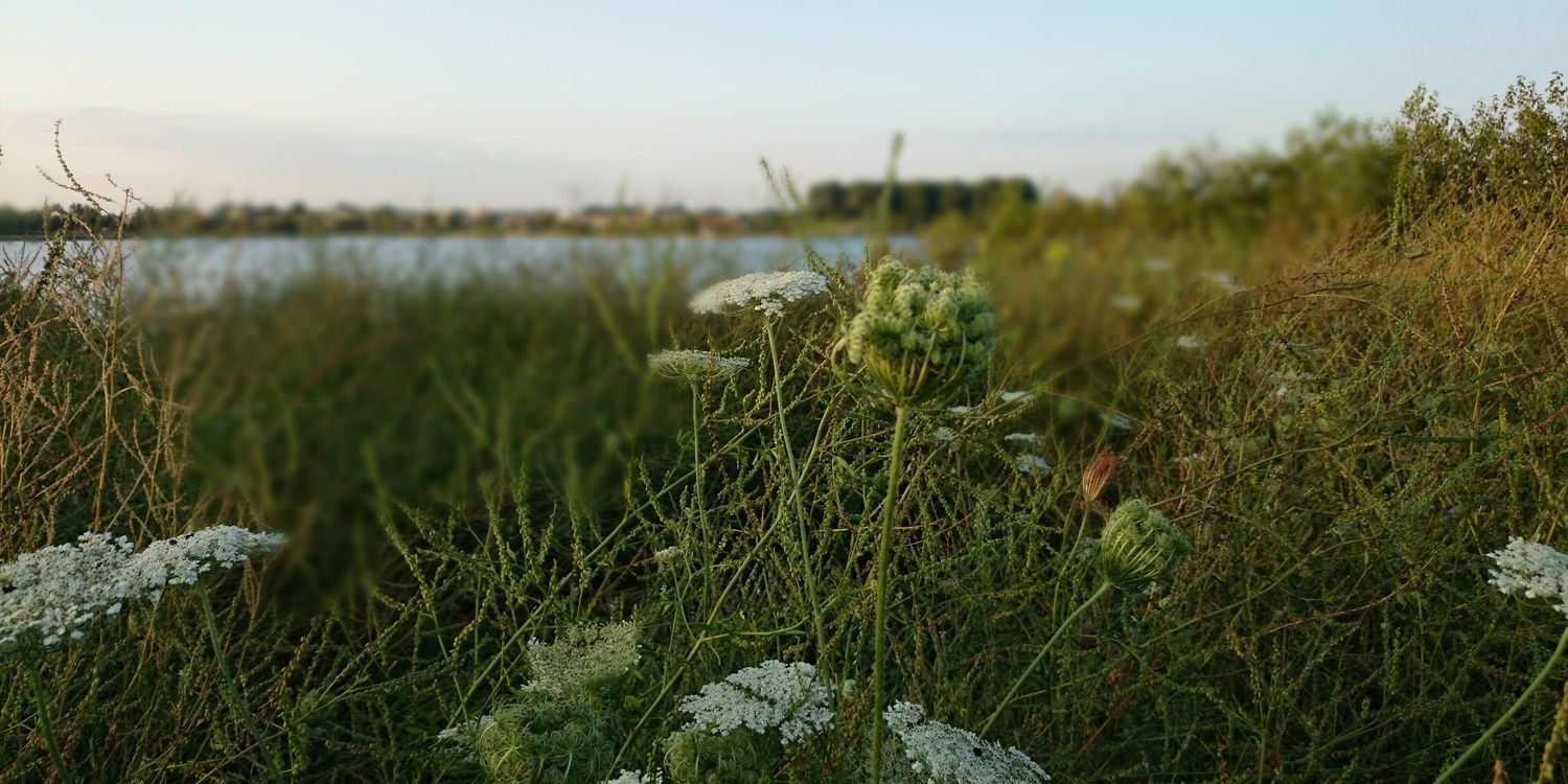 Stephan Dijkstra banner