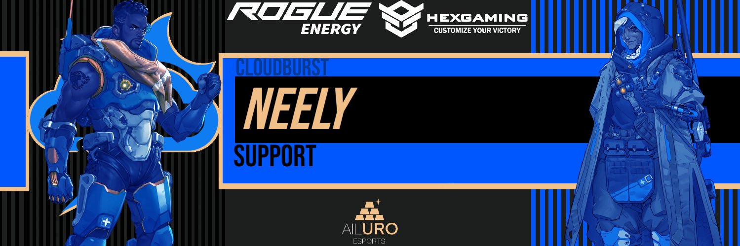Neely banner
