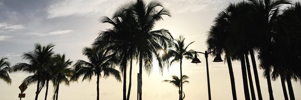 Montannajean's profile banner image