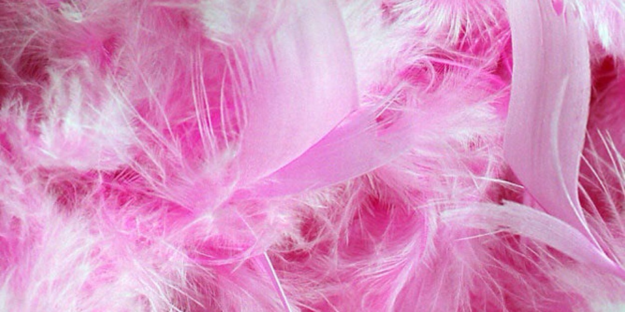 mlsamuelian's profile banner image