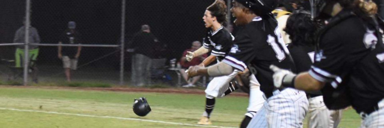 Braden River Baseball banner