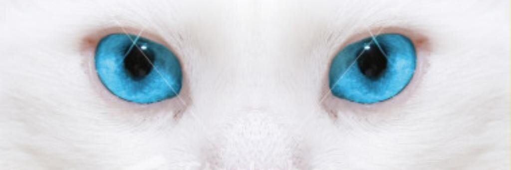 yonifiksianaaa's profile banner image
