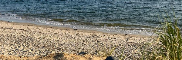 bbikdeli Profile Banner