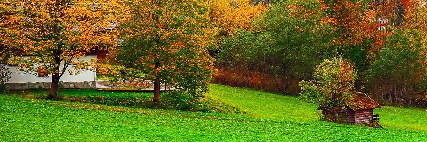 ubeydd_'s profile banner image