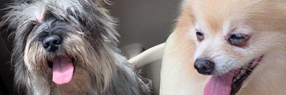 melskeetzz's profile banner image