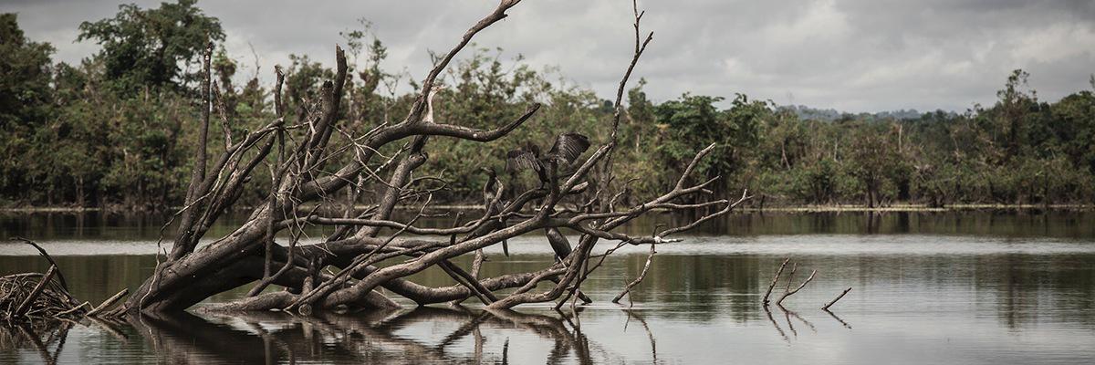 ferloxfile's profile banner image