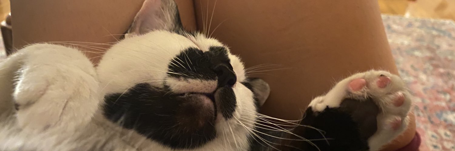 lexi_gorm's profile banner image