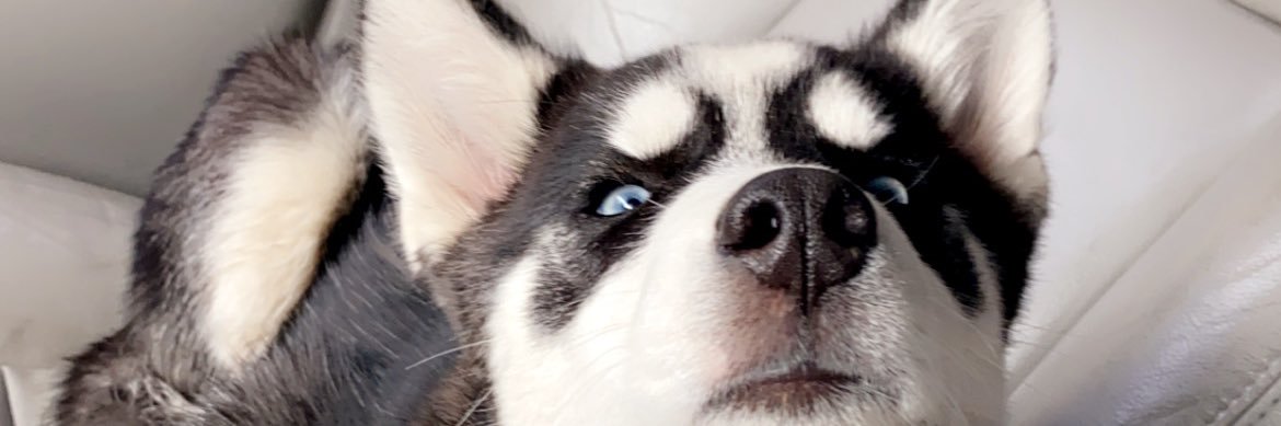 Chloehaney12's profile banner image