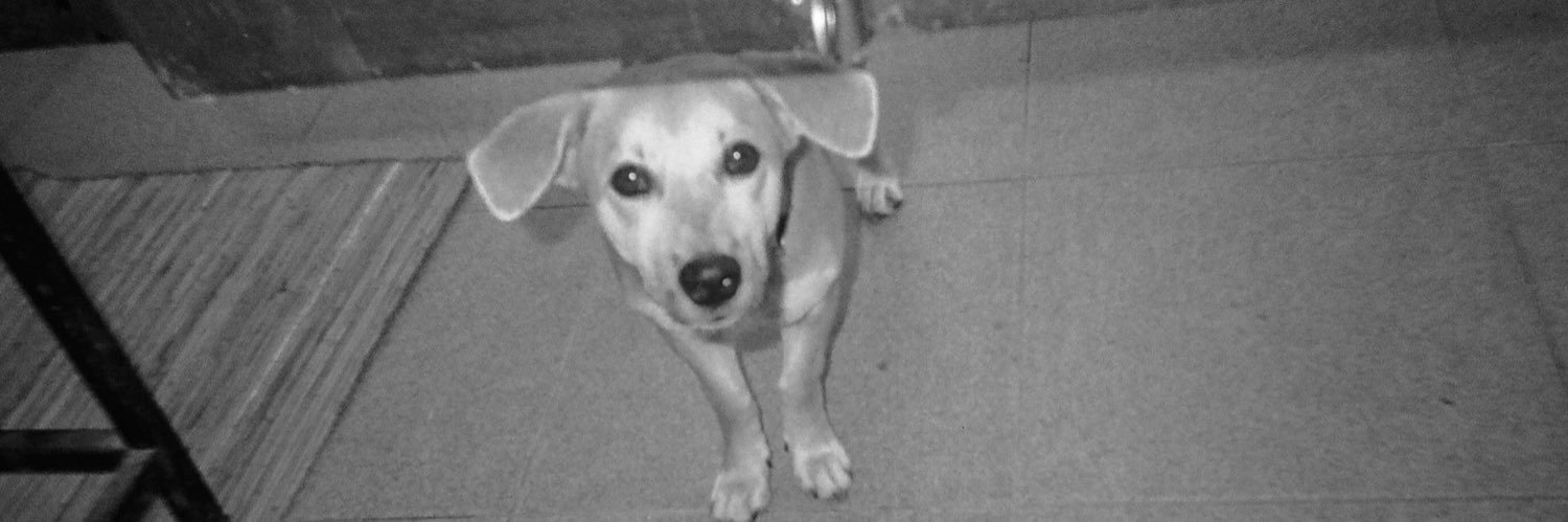 DogPablooo's profile banner image
