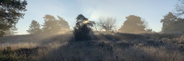 spronkosaurus Profile Banner