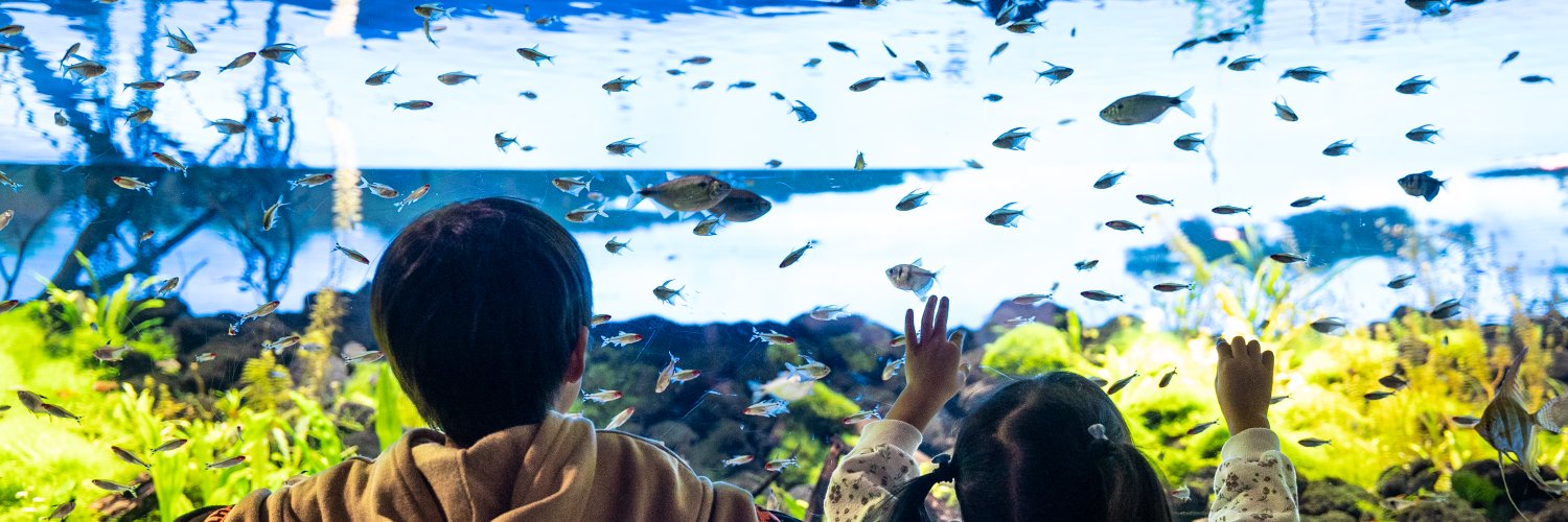 カワスイ 川崎水族館's banner
