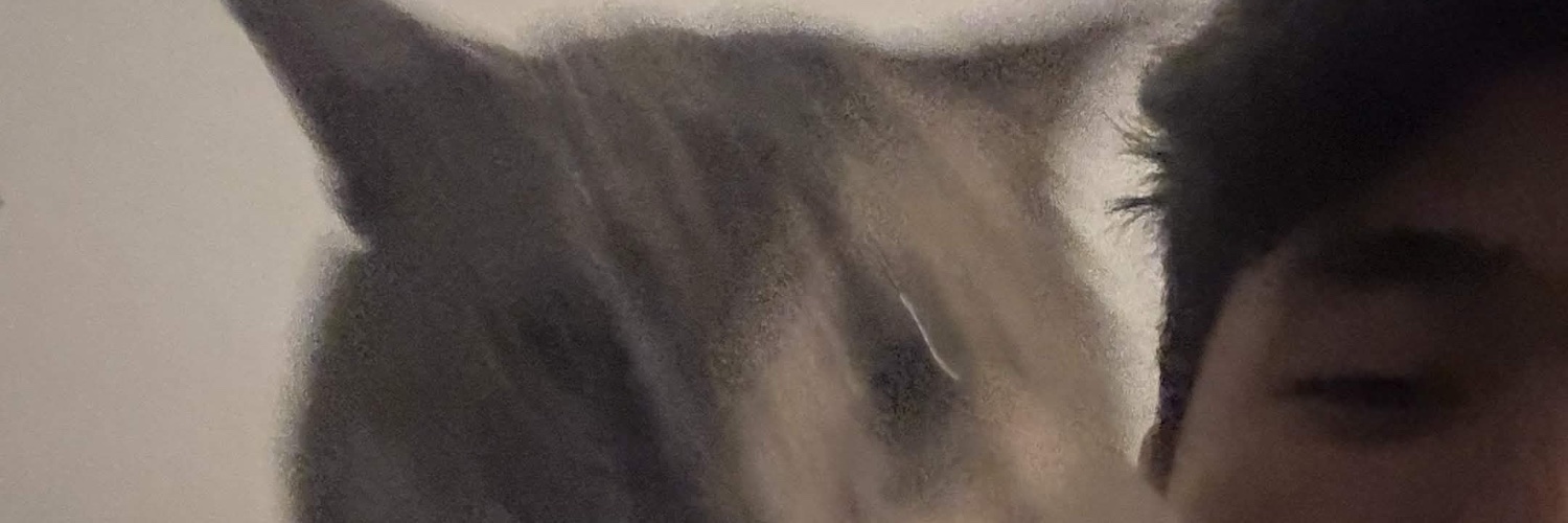 osieichei's profile banner image