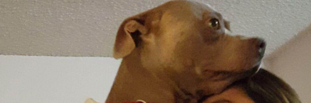 _dalefounddead's profile banner image
