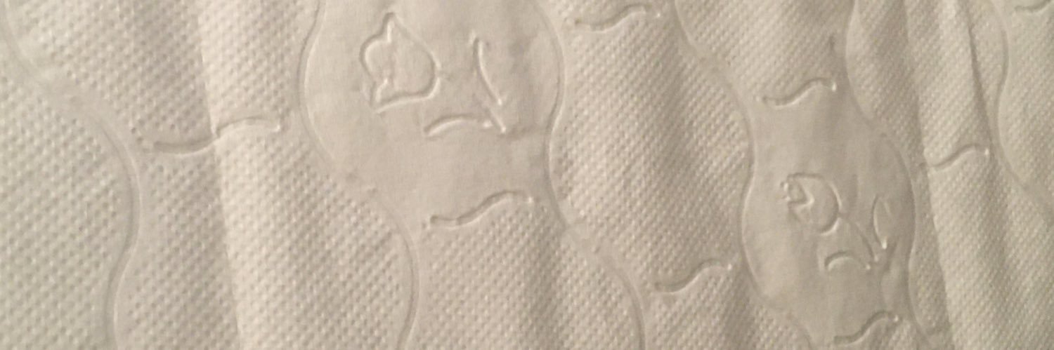 BufóCat banner