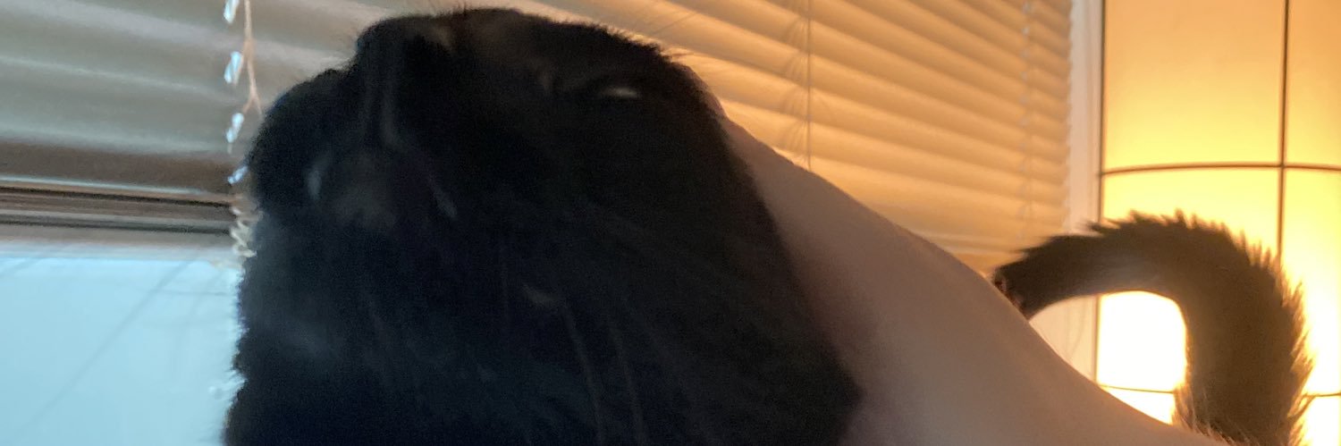 xHowOriginalx's profile banner image