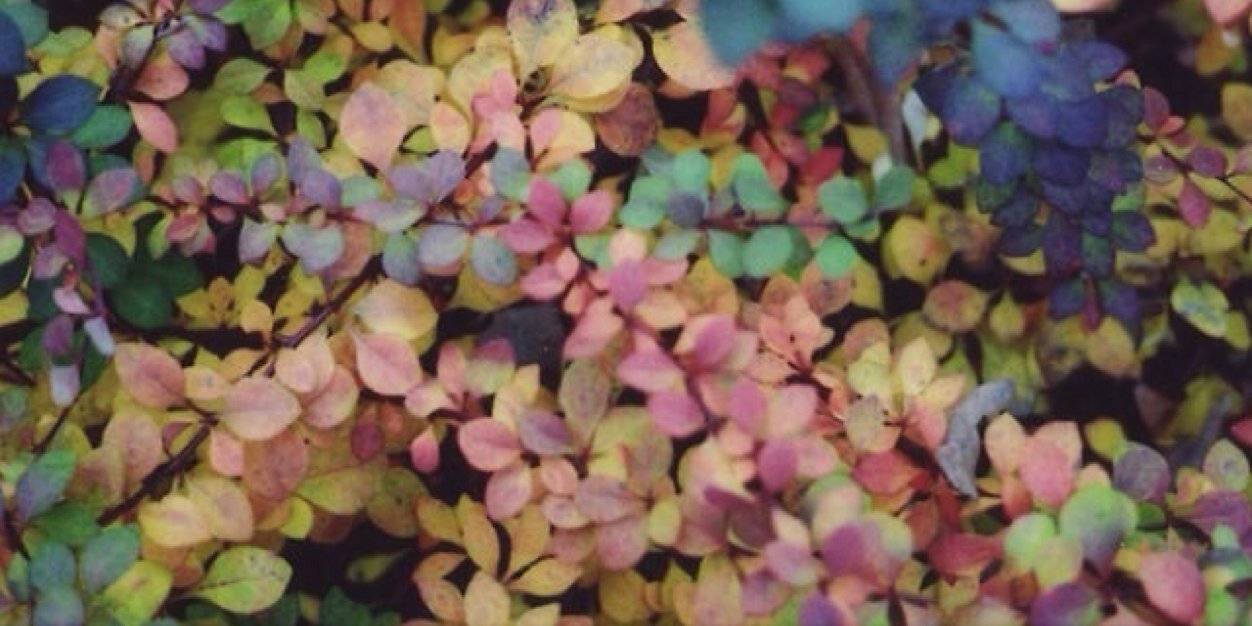 kvrlmv's profile banner image