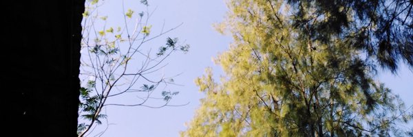 hr6mb5M99wtPWaC Profile Banner