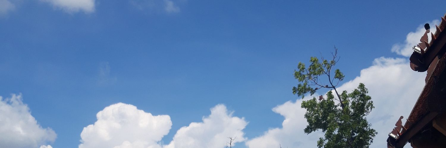 palampale's profile banner image