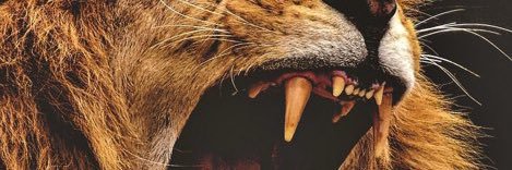 opti_Gh's profile banner image