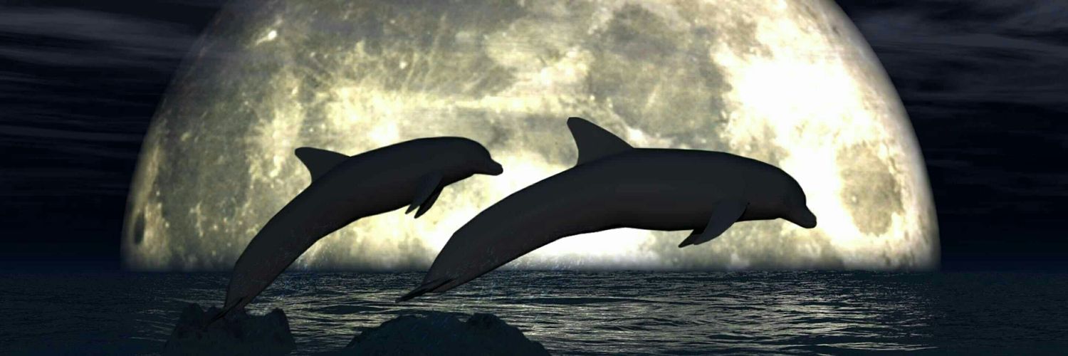 ShellyRae_Rescue6 banner