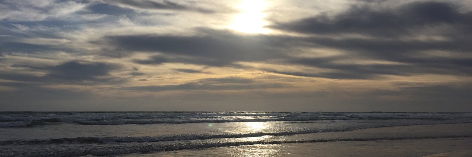 mflorianog's profile banner image