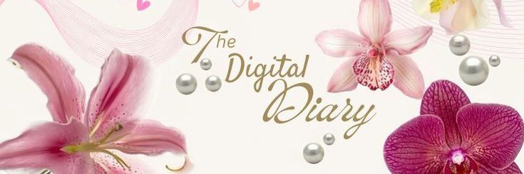 𝒫 iwa banner