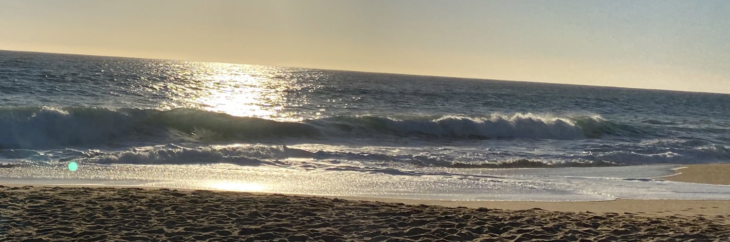 NelsonSantis's profile banner image