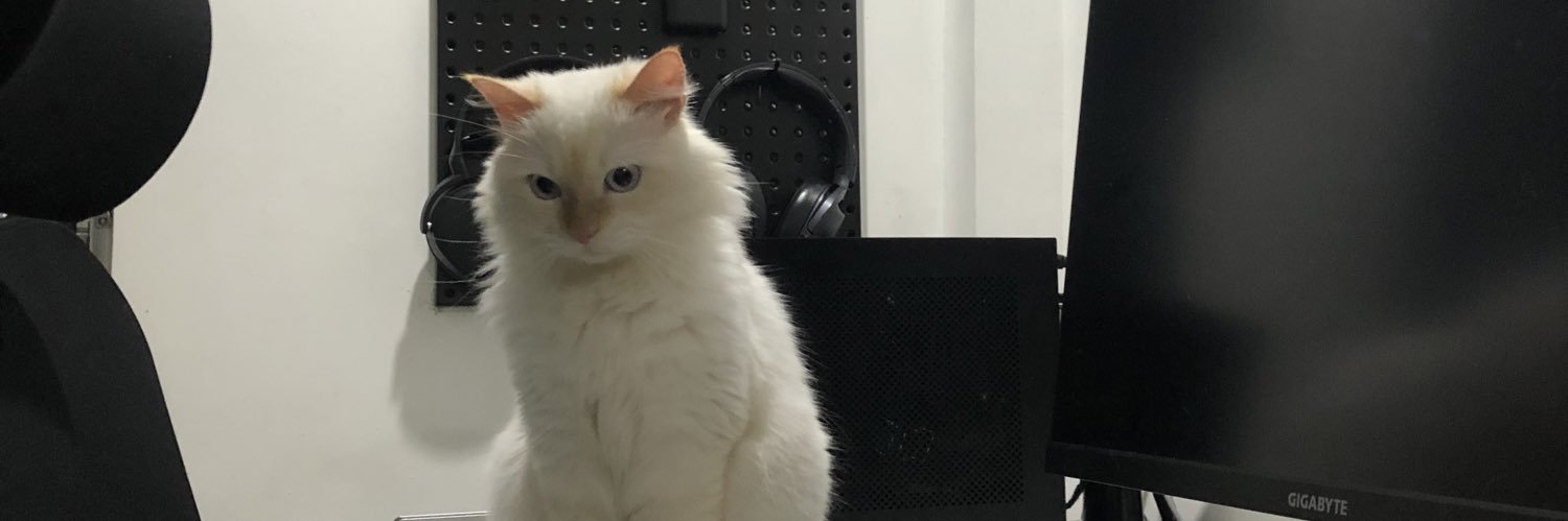 peauxdane's profile banner image