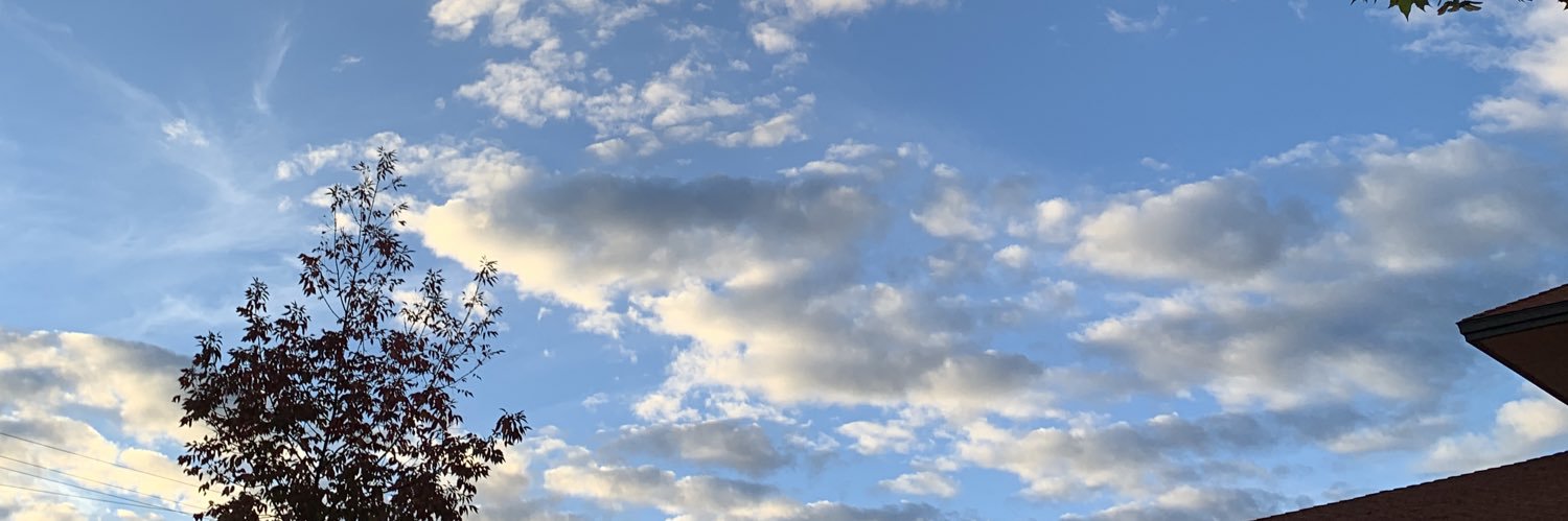 SharksGoRawr's profile banner image