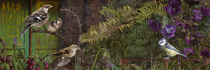 zoexioux's profile banner image