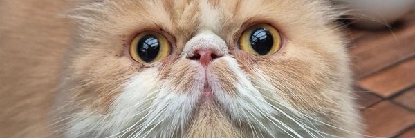 arturomedinap Profile Banner