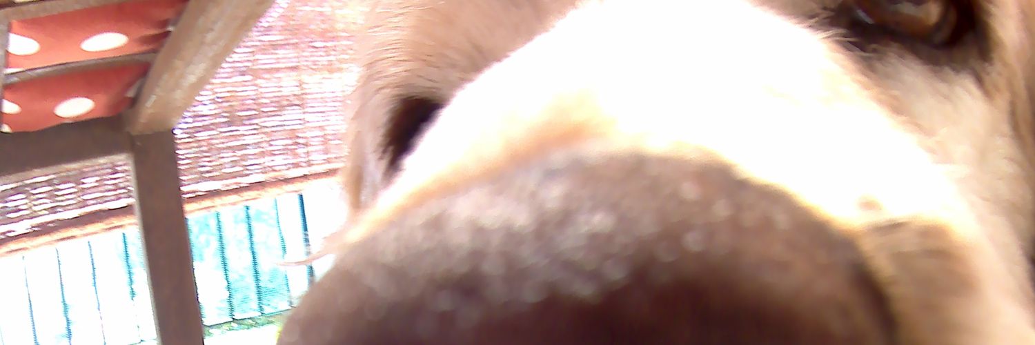 Lakes_MD's profile banner image