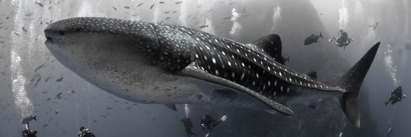 SanchezLunaMD Profile Banner