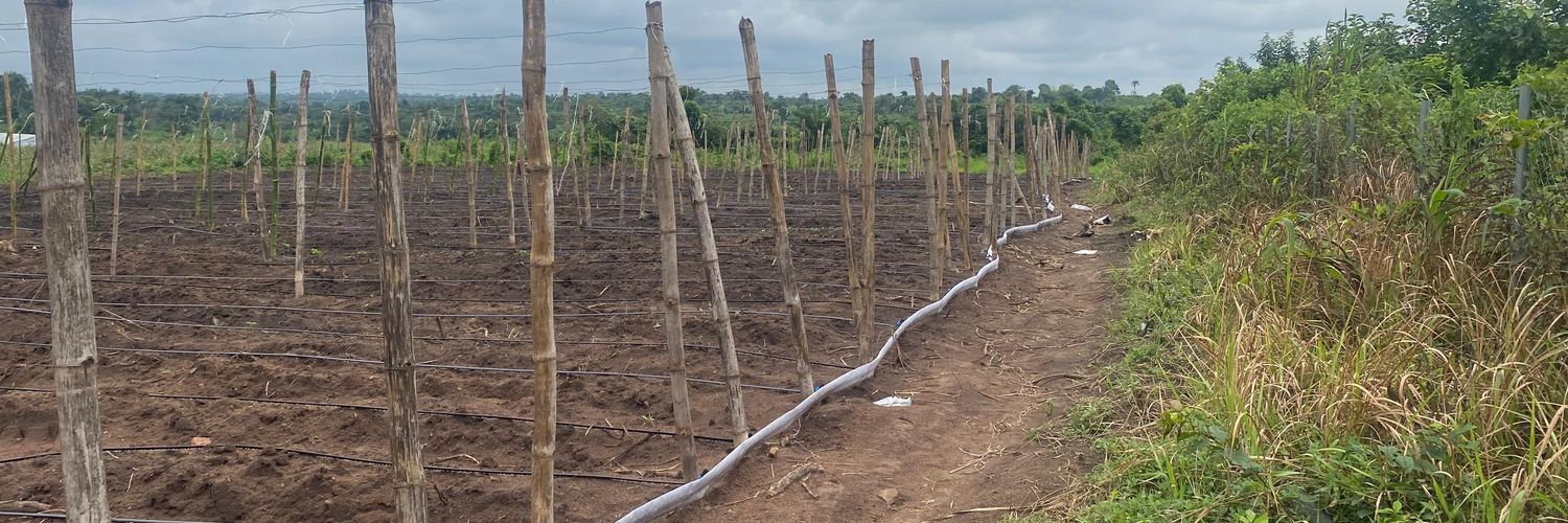 Arákùnrin Ọlágadé banner