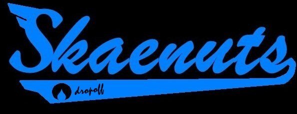 skaenuts brand banner