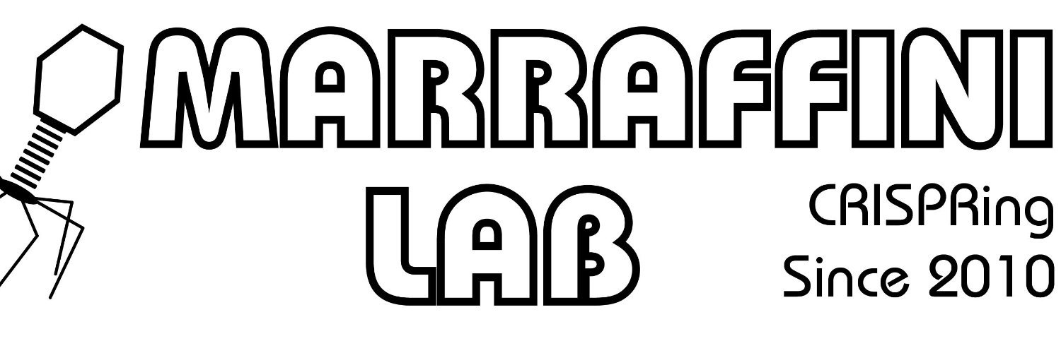 Marraffini Lab Profile Banner