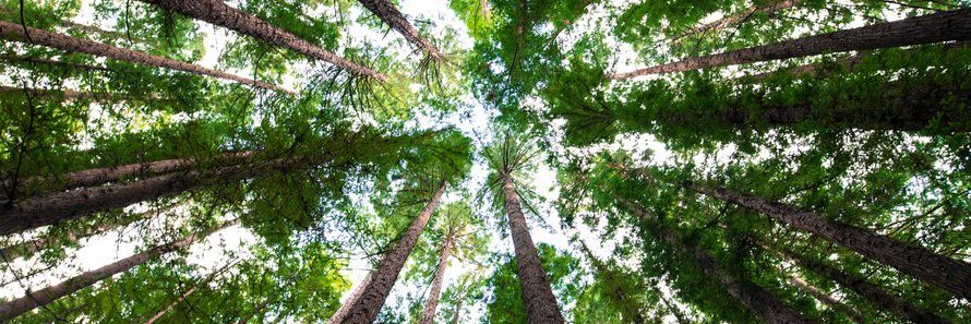 Fraser River Indigenous Society banner