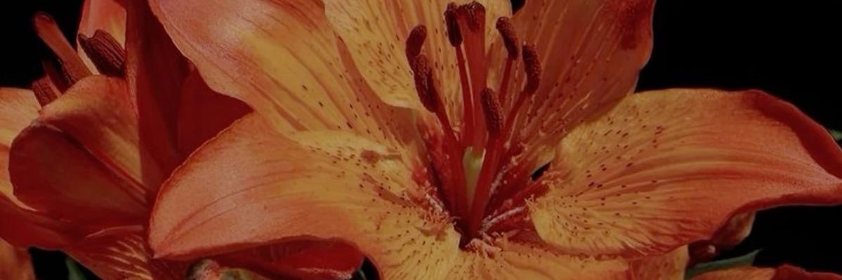 museyng's profile banner image