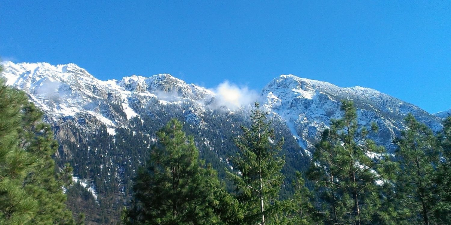 Candace Nancke banner