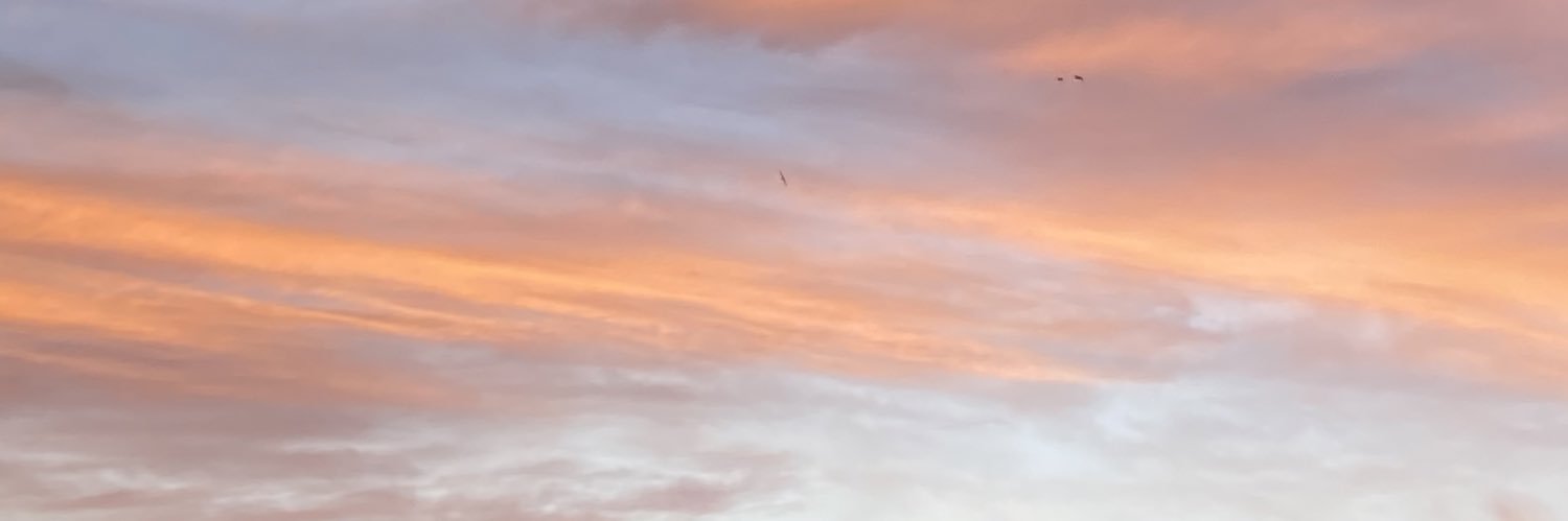 mariabeltranv's profile banner image