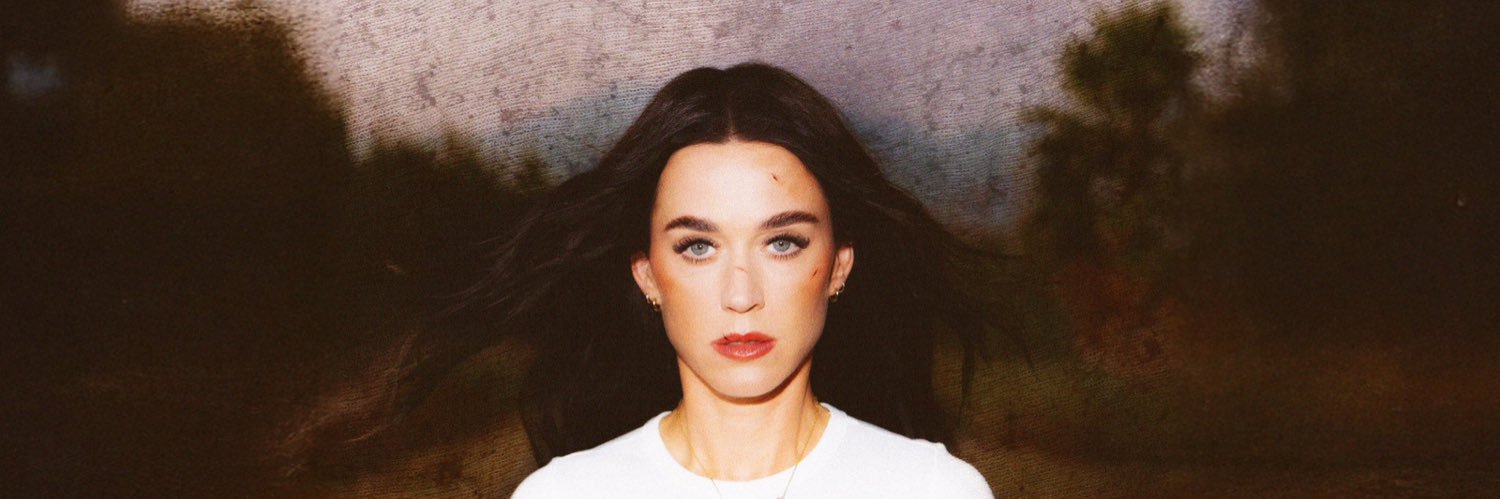 🦋🔥 katycat banner