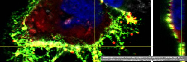 UTMBPathRes Profile Banner