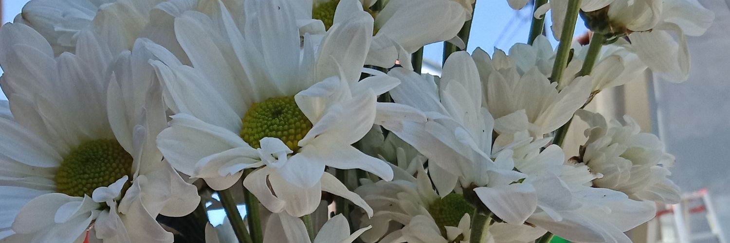kaShiska's profile banner image