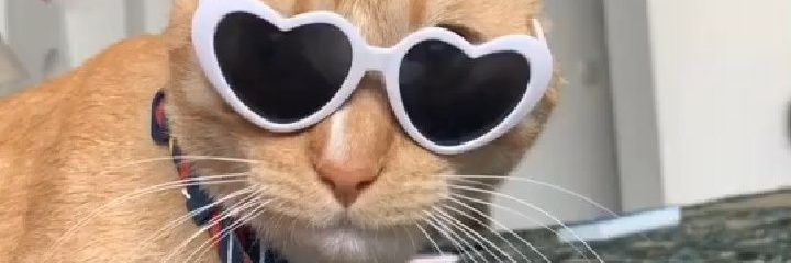 lopez_sape's profile banner image